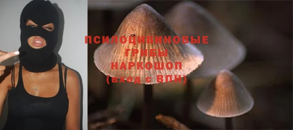 стаф Балабаново