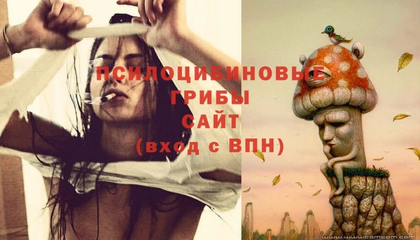 Альфа ПВП Балахна