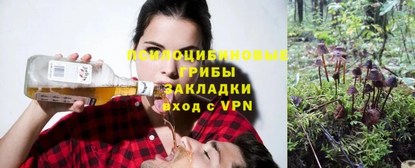 стаф Балабаново